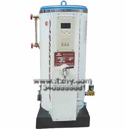 生物質熱水鍋爐