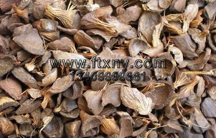 棕櫚殼生物質顆粒燃料生產原料