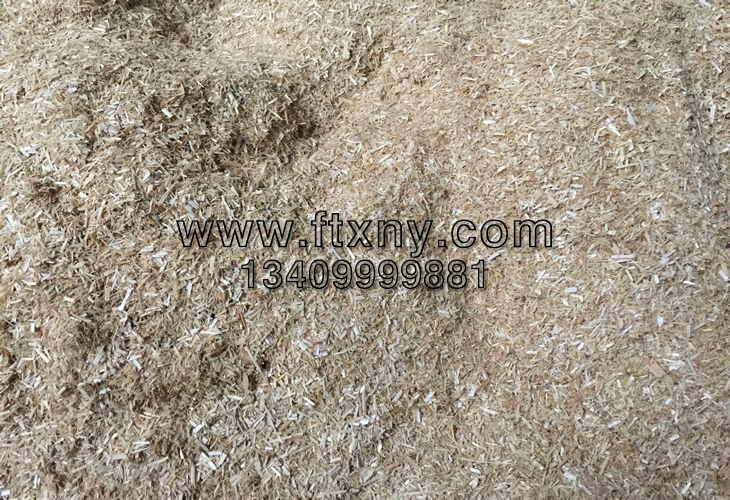 ·ÛËéºóµÄÐ¡Âó½Õ¸Ñ