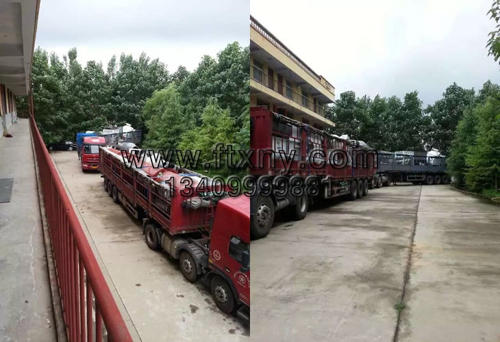 °²»Õ³üÖÝÄ¾Ð¼¿ÅÁ£»úÉú²úÏß·¢»õÍ¼Æ¬